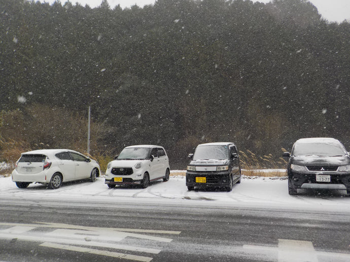 １２月２１日　本日は雪です。